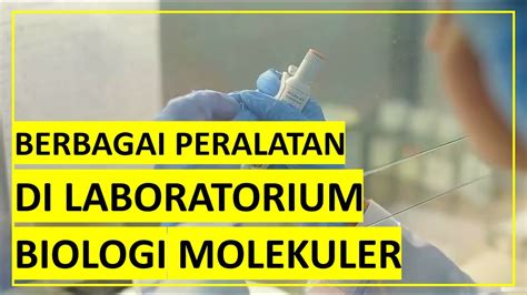 Mengenal Berbagai Peralatan Di Laboratorium Biologi Molekuler Youtube