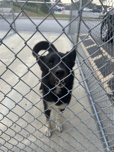 This guy was found... - Scarborough Maine Police Department