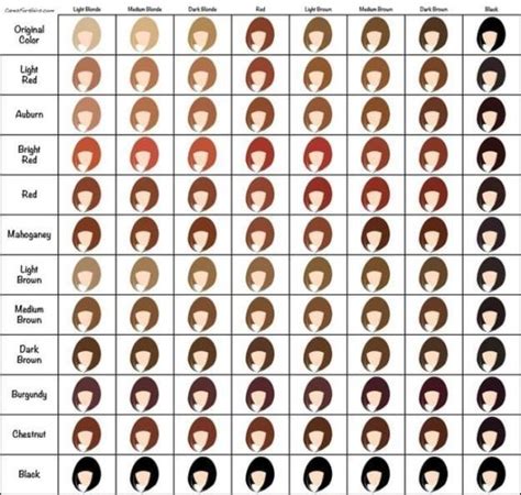 Chart Hair Colour Mixing Ratio