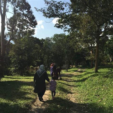 Lemang leret siap dimakan dalam 45 minit. AWANAZ TEMPAT PERKHEMAHAN MENARIK DI KEDAH - AWANAZ AGRO ...