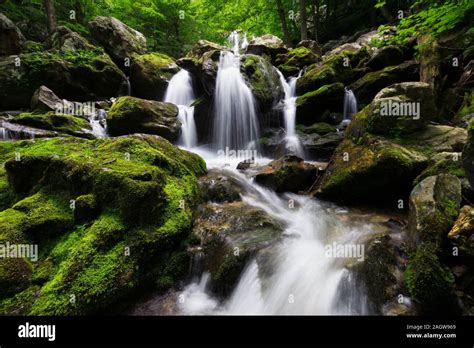 Waterfall Moss Shenandoah National Park Hi Res Stock Photography And