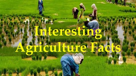 Interesting Agriculture Facts Youtube