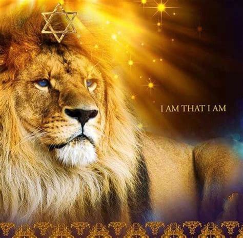 Pin By Sharyn Matava On I Am Lion Of Judah Jesus Lion Of