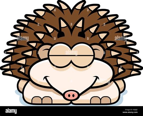Little Hedgehog Stock Vector Images Alamy