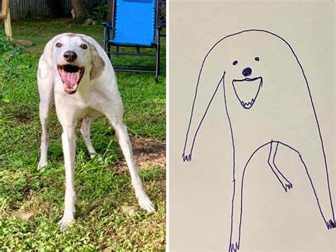 Asian ladybugs causing problems for dog owners. This Person Tried To Draw Their Dog And Now People Can't ...