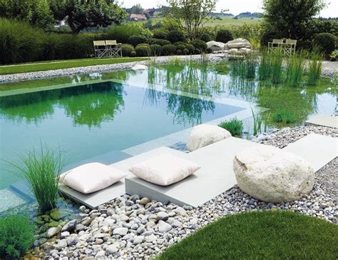 Diy Natural Swimming Pools Home Interior Design