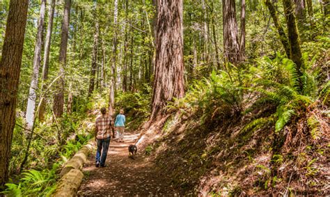 5 Stress Busting Hikes In Southern Oregon Travel Oregon