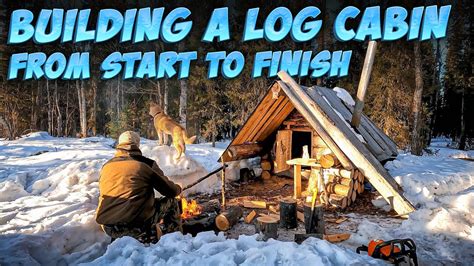 Building A Tiny Off Grid Log Cabin Life In It Time Lapse Bushcraft Youtube