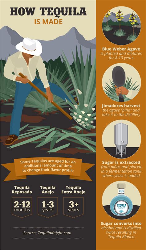 Everything You Ever Wanted To Know About Tequila