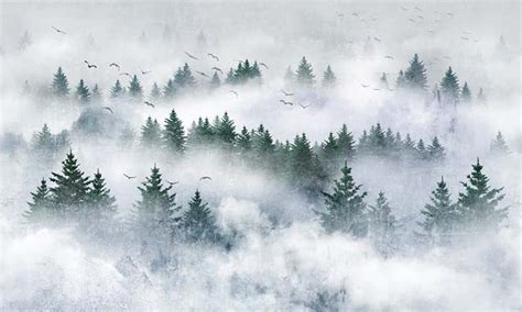 Foggy Forest Wall Mural Wallpaper Extradecor
