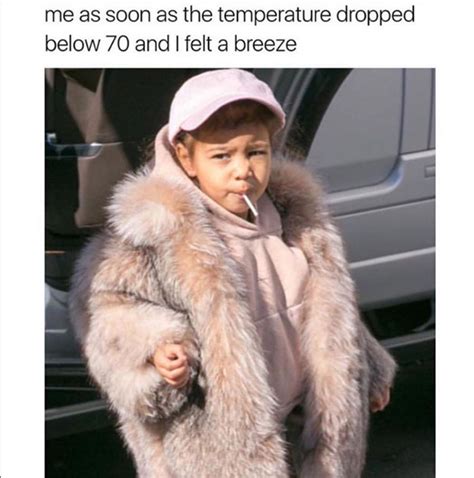 Fashion Quarterly The Funniest Fashion Memes Of All Time