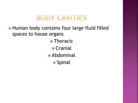 Ppt Body Systems Powerpoint Presentation Free Download Id3181209