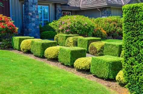 101 Front Yard Garden Ideas Awesome Photos Home Stratosphere