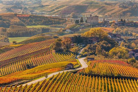 Piedmont The Best Region To Experience In The Fall Winkitaly