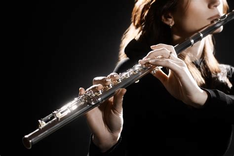 Flauta Transversal Carpe Diem Escola De Música