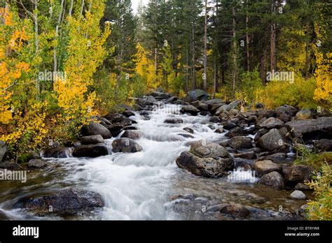 Fall Colors Bishop Creek Stock Photo Alamy