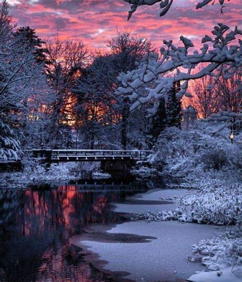 Pin By Phyllis Lovely On Maine Beautiful Winter Scenes Winter