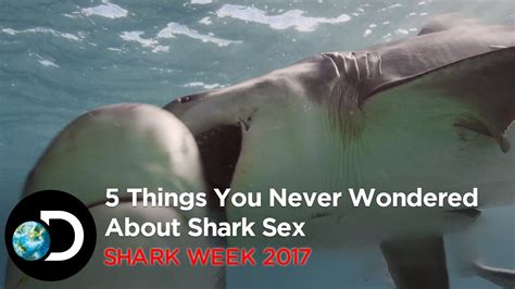 5 Things You Never Wondered About Shark Sex Shark Week 2017 Youtube