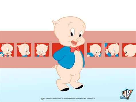 Animales Y Plantas Porky Pig