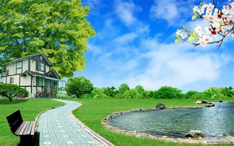 Free Download Nature Home Wallpaper 2560x1600 Nature Home Backyard