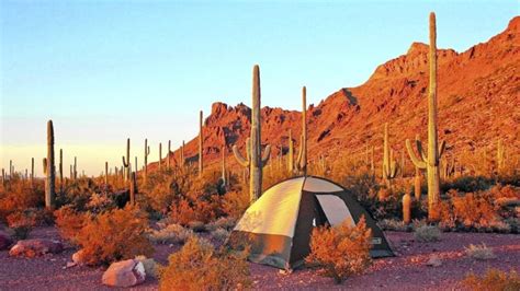 Az Camp Guide Sonoran Desert Region