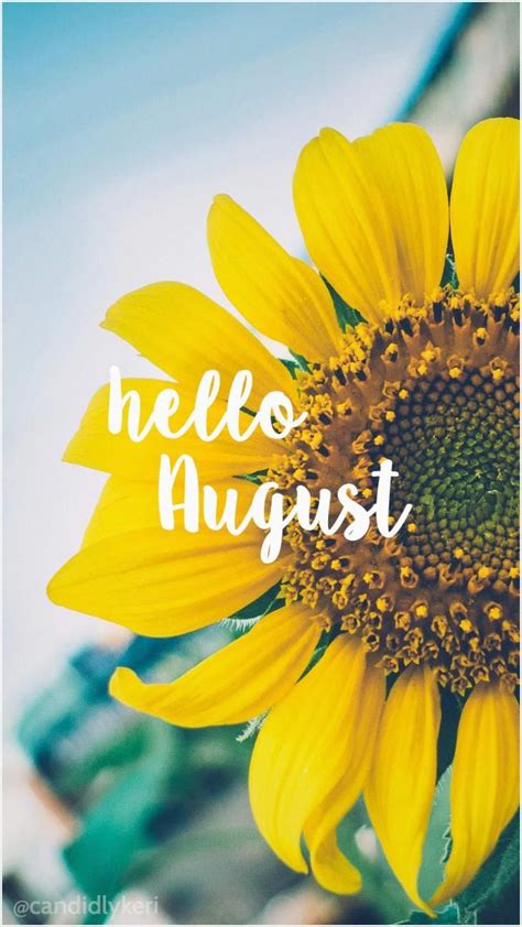 555 Hello August Wallpaper | Hello august, August wallpaper, Hello august images