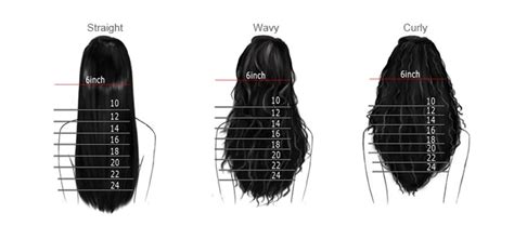 Lace Wig Hair Length Chart Full Lace Wigs 12 30 Inches Heavenly