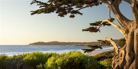 When you stay at carmel green lantern inn, the gently crashing waves of the gorgeous pacific ocean will soundtrack your days. 13 Best Carmel-by-the-Sea Bed and Breakfasts ...