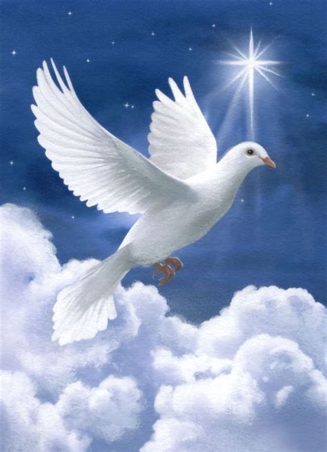 Pyhän Hengen Vertauskuva Ja Rauhan Symboli Holy Spirit Dove Dove