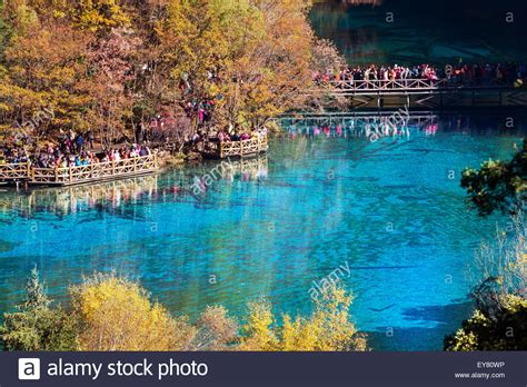 Jiuzhaigou National Park Five Flower Lake Is Lake In Sichuan China