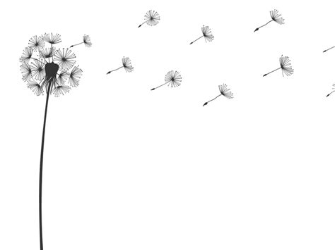 Die preise sind angemessen unter anderem auch die qualität der produkte zeigt sich als sehr. Pusteblumen Wandtattoos | Pusteblume im Wind von ...