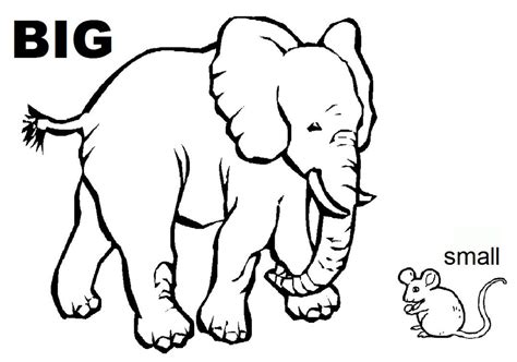 Opposites coloring book for kids: Opposites Coloring Sheet | We handed out this coloring ...
