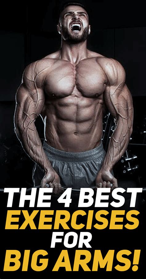 Check Out The 4 Best Biceps Exercises For Big Arms Fitness Gym