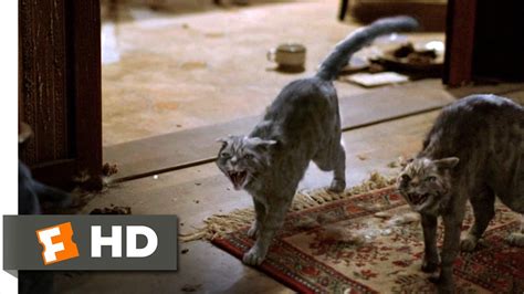 Let The Right One In 812 Movie Clip Killer Cats 2008 Hd Youtube