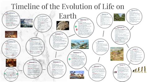 The Evolution Of Life On Earth Timeline The Earth Images Revimageorg