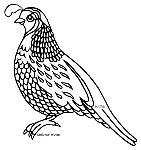 Clipart Of Quail 20 Free Cliparts Download Images On Clipground 2023