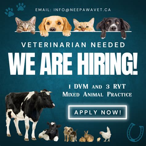 Vet Jobs No Experience Near Me