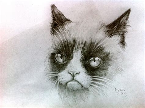 Tard The Grumpy Cat By Agentcoleslaw On Deviantart