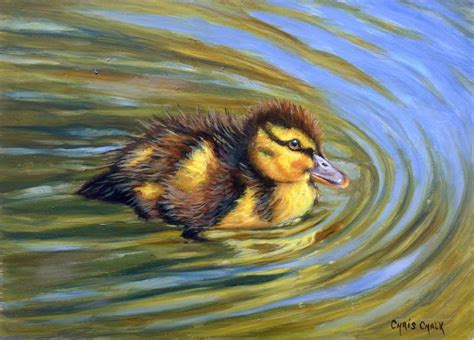 Duckling Painting Little Paddler By Artist Chris Chalk