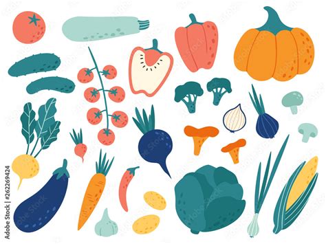 Vecteur Stock Hand Drawn Vegetables Veggies Nutrition Doodle Organic