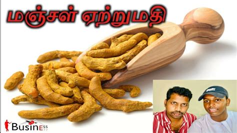 Export Business In Tamil Turmeric Export Export Import Business HOW