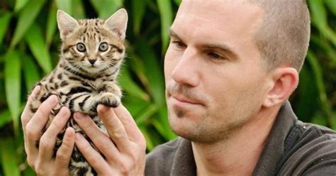 Rusty Spotted Is One Of The Worlds Smallest Wild Cat Species Weighing