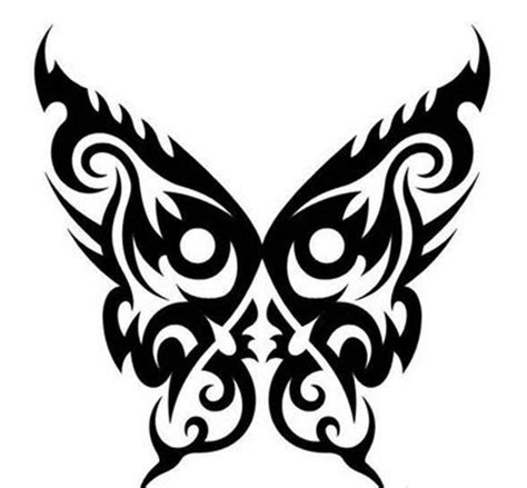 Gambar dan jenis laba laba tarantula nama nama hewan sumber : Tattoo Tribal Kupu-Kupu | Gambar Seni Tattoo