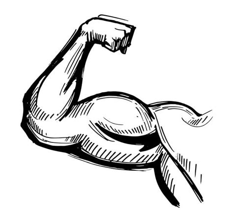 360 Flexing Bicep Drawing Illustrations Royalty Free Vector Graphics