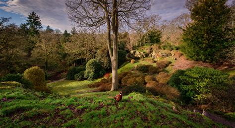 In Pictures Winter Wonder At Wakehurst Kew