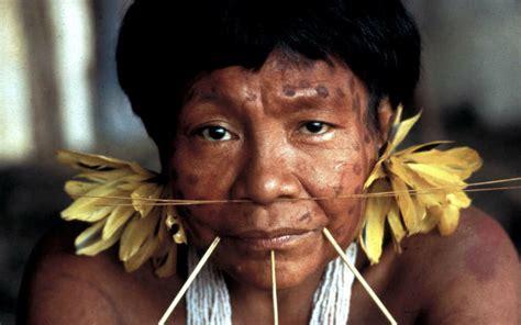 Etnias Indígenas De Venezuela Pueblos Yanomami Notilogía
