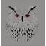 Best Black And White Owl Illustrations Royalty Free Vector Graphics 