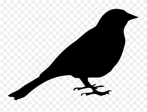 Bird Silhouettes Goldfinch Clipart Flyclipart