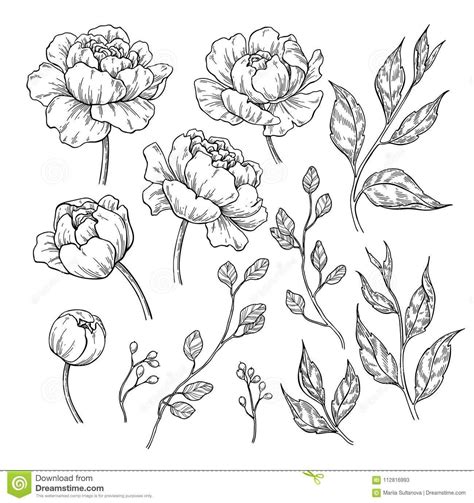 Free Free 307 Hand Drawn Flower Svg SVG PNG EPS DXF File
