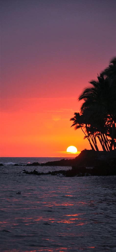 Big Island Sunset Hawaii Iphone Wallpapers Free Download